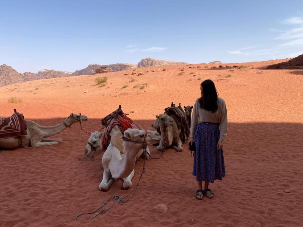 Mojo Camp, Wadi Rum Zewnętrze zdjęcie