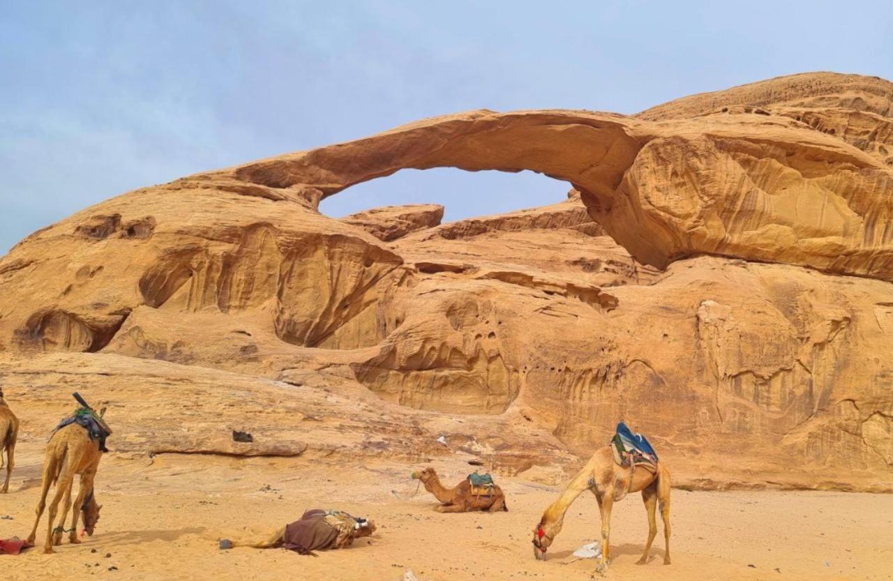 Mojo Camp, Wadi Rum Zewnętrze zdjęcie