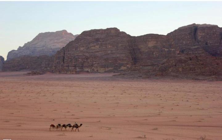 Mojo Camp, Wadi Rum Zewnętrze zdjęcie